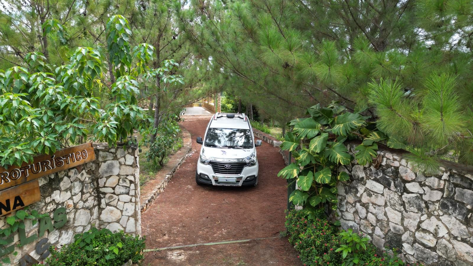 transfer-aeropuerto-punta-cana-valdez-transporte